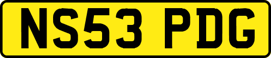 NS53PDG