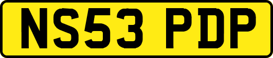 NS53PDP