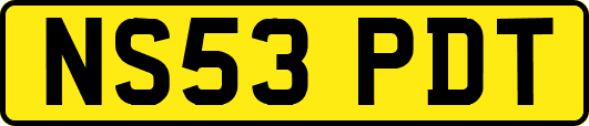 NS53PDT