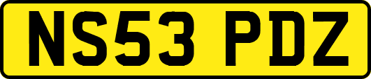 NS53PDZ