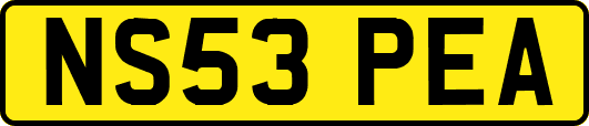 NS53PEA
