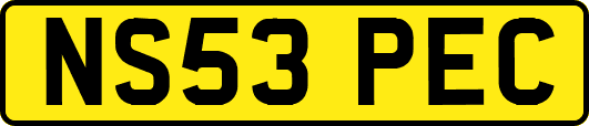 NS53PEC