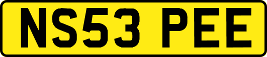 NS53PEE