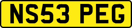 NS53PEG