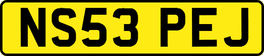 NS53PEJ