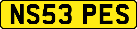 NS53PES