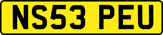 NS53PEU