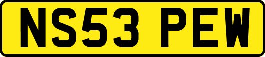 NS53PEW