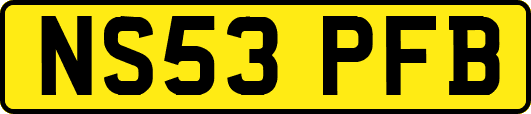 NS53PFB