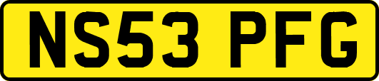 NS53PFG