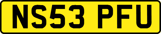 NS53PFU
