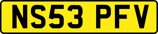 NS53PFV