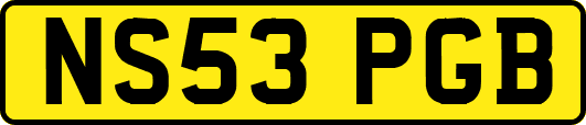 NS53PGB