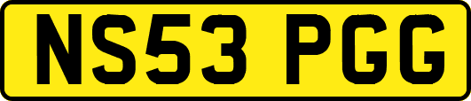 NS53PGG