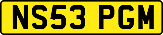 NS53PGM