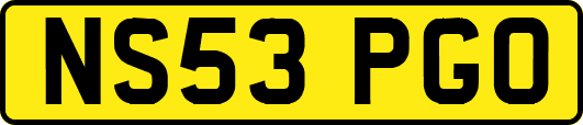 NS53PGO