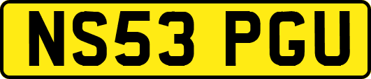 NS53PGU