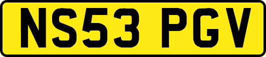 NS53PGV