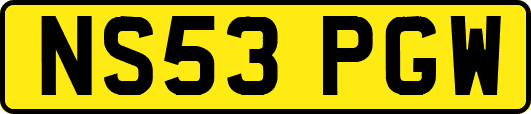 NS53PGW