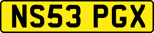 NS53PGX