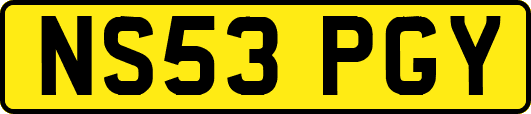 NS53PGY
