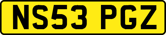 NS53PGZ