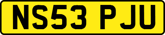 NS53PJU
