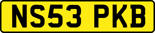 NS53PKB