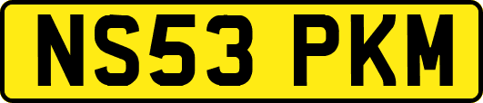 NS53PKM