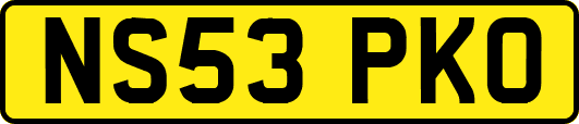 NS53PKO