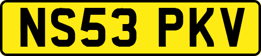 NS53PKV