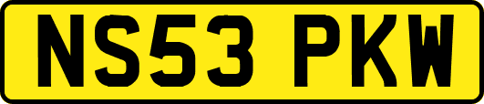 NS53PKW
