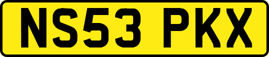 NS53PKX