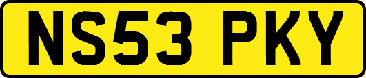 NS53PKY
