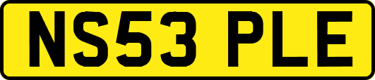 NS53PLE