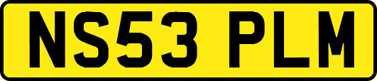 NS53PLM