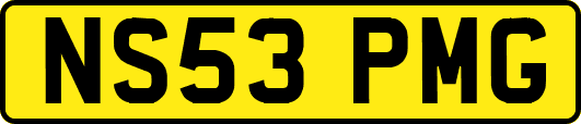 NS53PMG