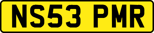 NS53PMR