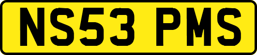 NS53PMS
