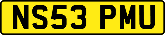 NS53PMU