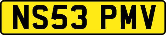 NS53PMV