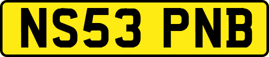 NS53PNB
