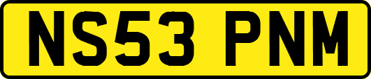 NS53PNM