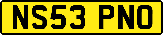 NS53PNO