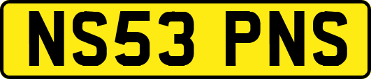 NS53PNS