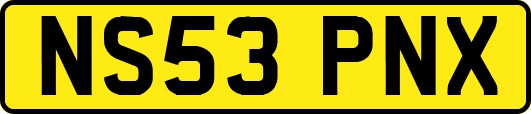 NS53PNX