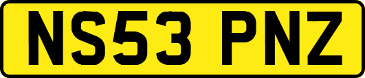 NS53PNZ