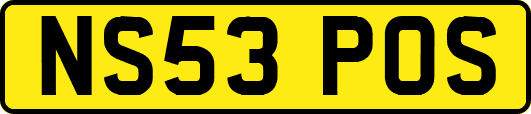 NS53POS