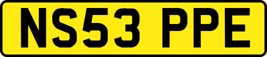 NS53PPE