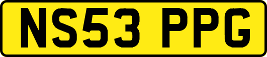 NS53PPG